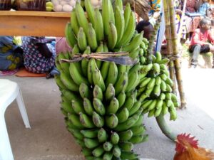 Makobwa wari umunyonzi yagiye kwiba ibitoki ahasiga ubuzima, none benshi bavuze impamvu yabyo