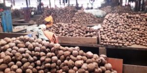 Abakunzi b’ ifiriti ndetse n’ ibirayi bo mu Karere ka Musanze bari mu gahinda nyuma y’aho igiciro k’ ibirayi kizamutse kandi aribyo byari bibatunze hari icyo barimo kwisabira