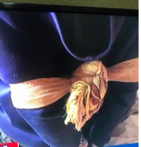 Bugesera: Umuvuzi gakondo yateye benshi ubwoba ubwo mu nzu basangagamo abantu yaziritse bagiye gushaka ubutunzi