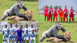 Musanze FC yahize kunigira APR FC i Kigali, Ese ubwo bushobozi irabufite???