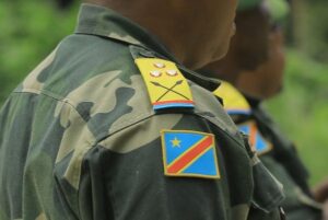 Inyeshyamba zikorana na FARDC zasubiranyemo zipfa ibyo kurya kuko Leta nta kintu iri kubamarira abatuye Goma bakizwa n’ amaguru