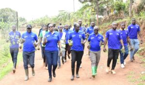 Gisagara: Biteze umusaruro ku biti bateye babifashijwemo n’ Abayobozi.