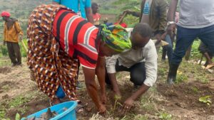 Gisagara: Buri wese ashishikarizwa gutera ibiti by’imbuto bikunganira imirire