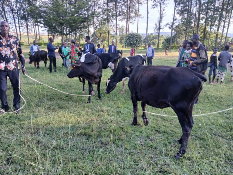 Gisagara: Abajyanama b’Ubuzima bagabiye inka abatishoboye mu kwitura umukuru w’igihugu