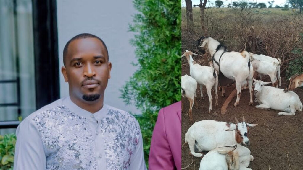 Uko byagenze kugira ngo uwari umunyamakuru ukomeye mu Rwanda yisange yarabaye umworozi w’ ihene?