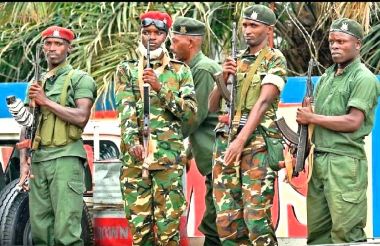 Umutwe wa RED Tabara wamahaniye kure ibyo gukorana n’ u Rwanda ,M23 byatangajwe na Perezida Ndayishimiye